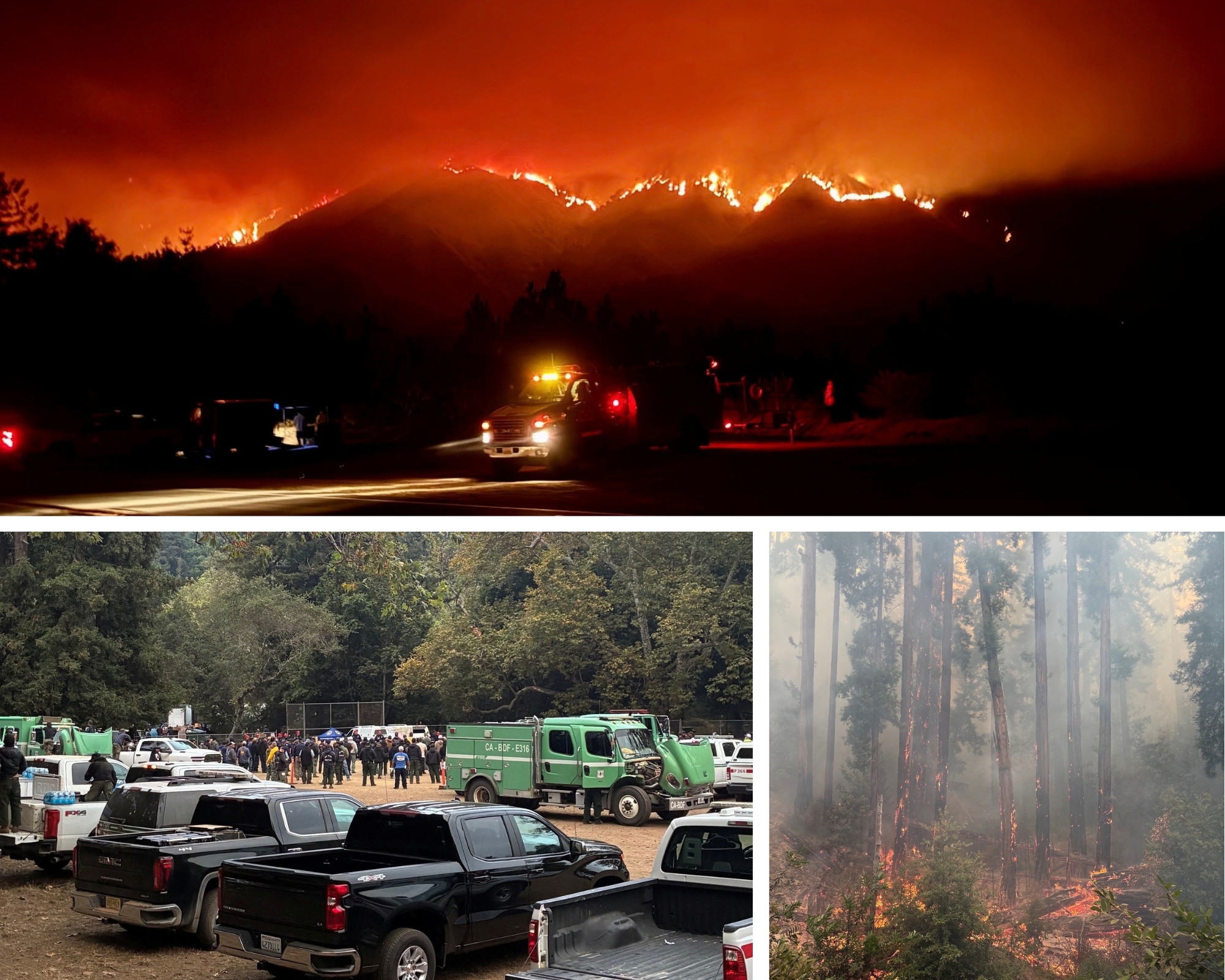 Timber Fire at Pfeiffer Big Sur SP